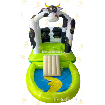 jumping Trampolines and kids castle dry